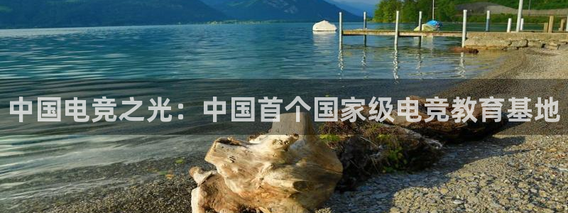 火狐电竞官方网站