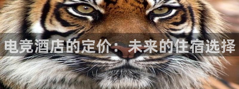 火狐电竞app官网