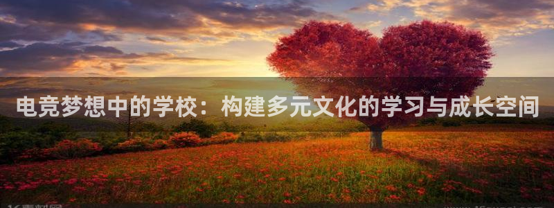 火狐电竞APP：电竞梦想中的学校：构建多元文化的学习与成长空间