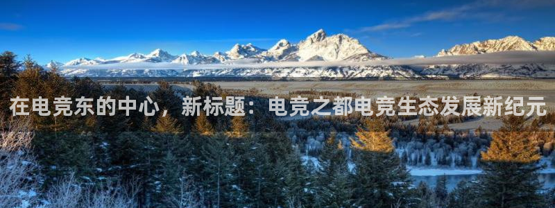 火狐电竞APP：在电竞东的中心，新标题：电竞之都电竞生态发展新纪元