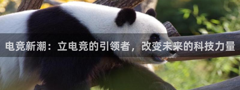 火狐电竞最新官网入口