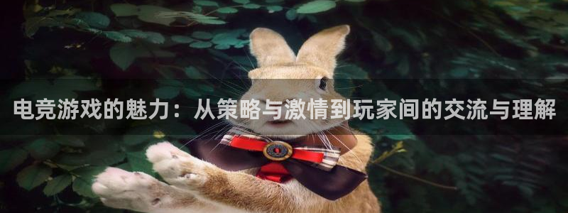 火狐电竞app官网：电竞游戏的魅力：从策略与激情到玩家间的交流与理解