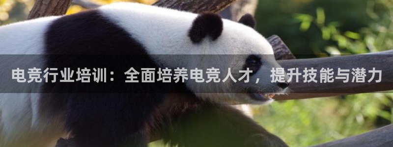 火狐电竞登录app：电竞行业培训：全面培养电竞人才，提升技能与潜力