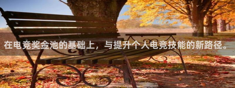 火狐电竞体育平台：在电竞奖金池的基础上，与提升个人电竞技能的新路径。