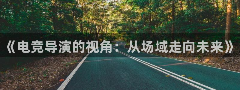 火狐电竞APP官网正版下载：《电竞导演的视角：从场域走向未来》